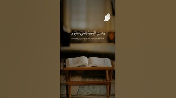 { وَقَدۡ خَابَ مَنۡ حَمَلَ ظُلۡمࣰا } #القارئ_الشيخ_محمود_الوليد #تلاوة_خاشعة #قرآن