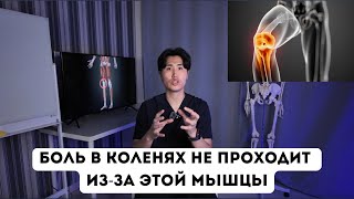 БОЛЬ В КОЛЕНЯХ не проходит из-за этой мышцы. Самые лучшие упражнения для восстановления колена.