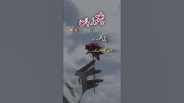 pashto deep poetry | learn pashto language #shorts #viral