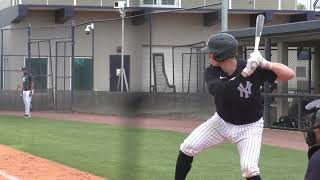 Famous Ben Rice Single - Yankees Spring Training Wealth