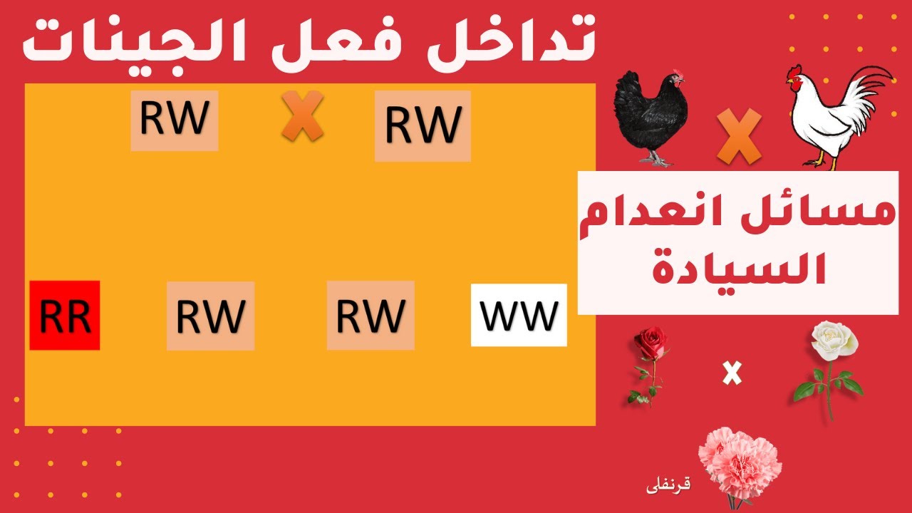 أهـم مـسائل انـعدام السيادة ( تداخل فعل الجينات) #أحـــيــاء