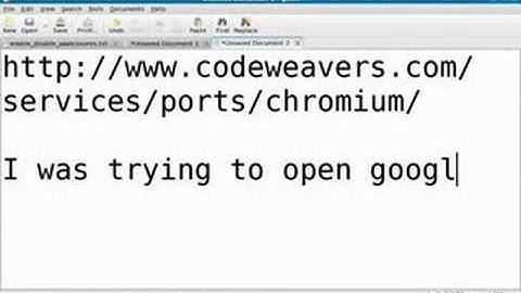 Chrome in Linux (Fedora 9)