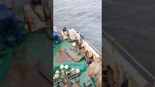 Massive Fishing Net Retrieval! 🌊 #Fishing #DeepSeaFishing #FishingNet #CommercialFishing #OceanFish