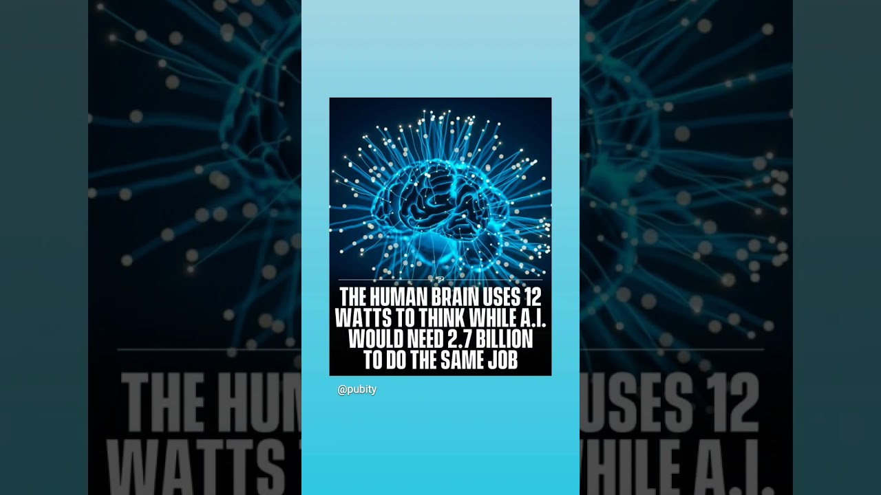 pubity A new study by researchers from Switzerland's Blue Brain Project