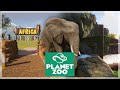 A New Zone! (Africa) | Planet Zoo Ep.4