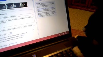 cat obsessed with cursor