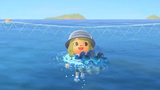 A Gigas Giant Clam is Worth THIS MUCH?! | Animal Crossing: New Horizons
