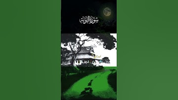 سورة التوبة