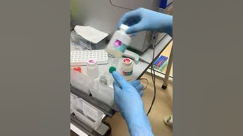 Hbv đo tải lượng real time pcr là gì năm 2024