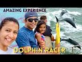 Must Watch: Dolphins Racing With Our Speed Boat | Florida Vacation | Indian Family in USA