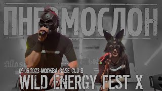 ПНЕВМОСЛОН - 09.06.2023 Wild Energy Fest X (Москва,