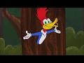 Woody Woodpecker 2018 Reboot Intro   Everybody Thinks I