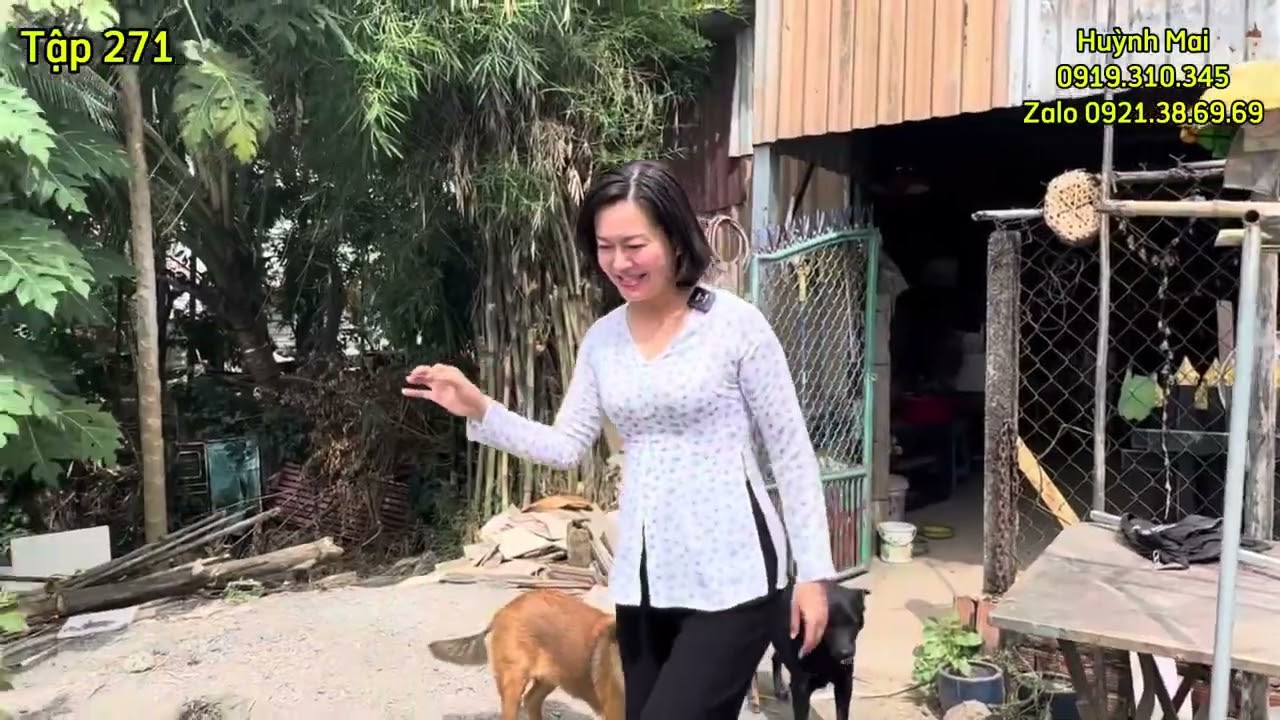 Tập 271 Bà Ngoại bán gấp căn nhà xưa ven sông giá chỉ 7 tỷ  