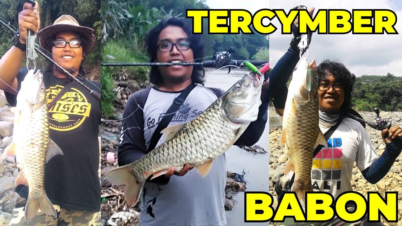 UMPAN APA..!!!! MANCING IKAN HAMPALA SERAYU
