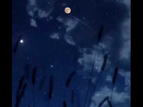 اغنية قصيرة احلى 30 ثانية