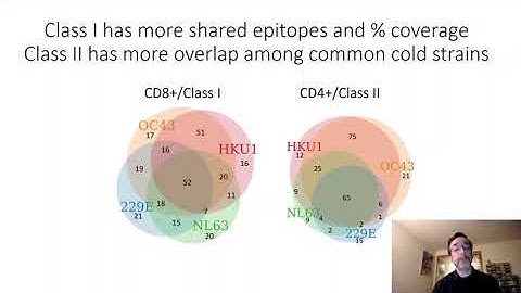 Cross-Reactive Immunogenicity of Coronavirus T-Cell Epitopes (1/2)