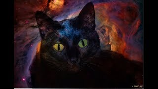 Mythologie der Katze | Katzen im alten Ägypten by KittyKitty 16,104 views 5 years ago 4 minutes, 5 seconds