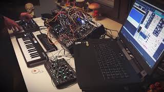 A New Beginning - Felt Instruments, O Coast, Eurorack, VCV Rack, MicroFreak