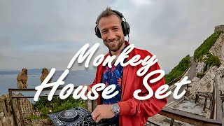 Melodic House Mix with Monkeys (Lane 8, Sultan + Shepard, Jerro, Arctic Lake, Franky Wah)