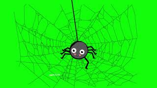 Baby Spider in the Web in green screen