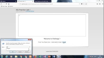 Leettime net XSS Lab Challenge 1 Solution