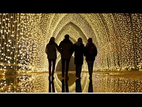 Lightscape at the San Antonio Botanical Gardens December 2021 | Pandora ...