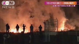 サプライズ花火が一転、火事に 花火研究家の見方は(2022年1月30日)