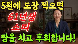 🪭61년생 신축생 선생님, 5월은 운명의 시험대가 열리는 달입니다. 가만히 쌓아온 재물이 한순간에 무너지는 결정적 이유.