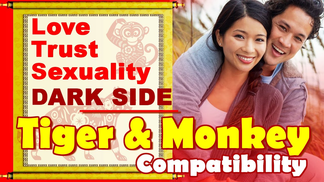 Tiger And Monkey Compatibility In Love Life Trust Intimacy Tiger tiger-and-monkey-compatibility-in-love-life-trust-intimacy-tiger
