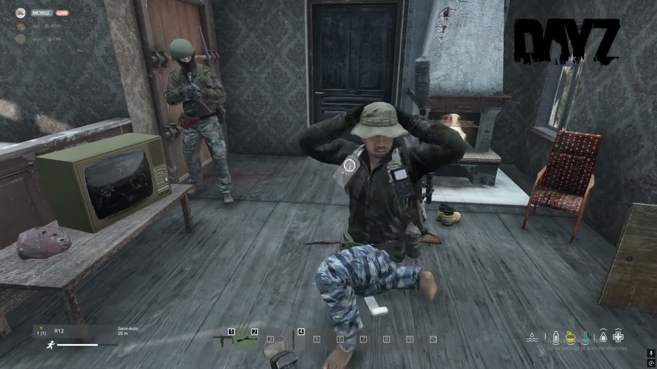 Dayz Survivor Encounter