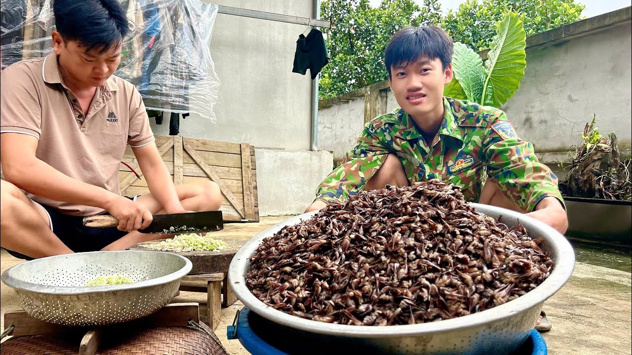 VÀO RỪNG TÌM BẮ.T ĐẶC SẢN TÔM RỪNG ( Con Chôm Chôm ) - Bùi Văn Trọng ...