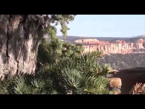 Parchi Nazionali U.S.A. - Bryce Canyon - UTAH