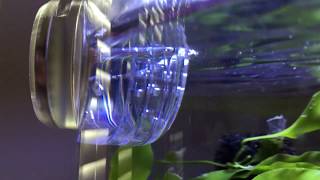 Using the PJ reefs Magnetic Feeder (Part 2)