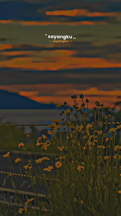 STORY WA LIRIK LAGU VIRAL TIKTOK 30 DETIK || LAMUNAN X LDR