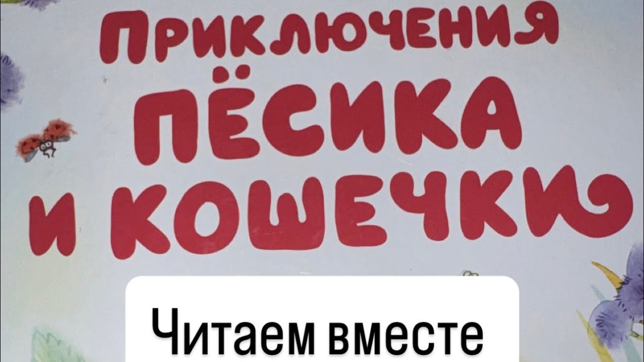 Приключения песика и кошечки 