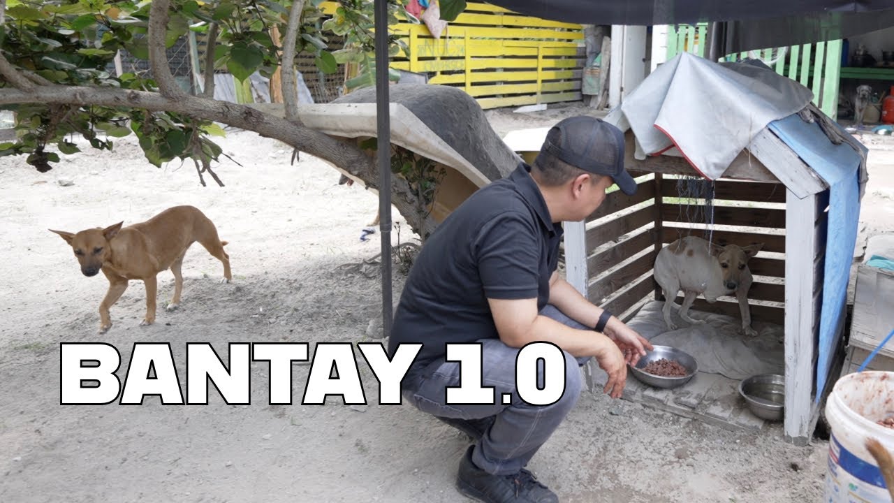 Isang Araw Para Kay Bantay sa Noah's Ark Dog and Cat Shelter (Unedited)