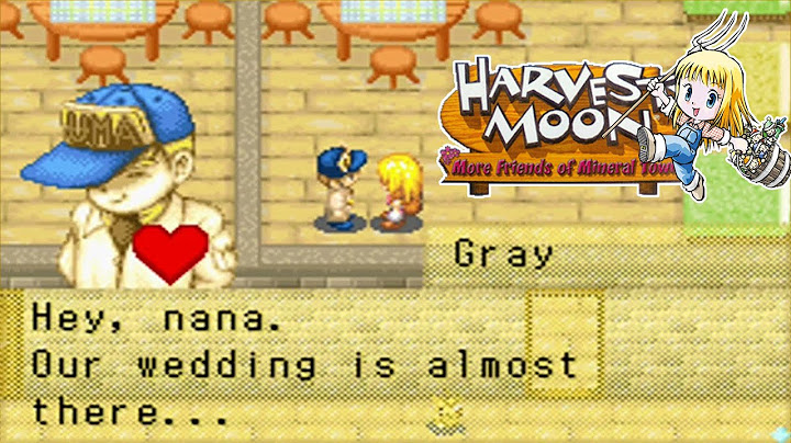 Harvest Moon: More Friends of Mineral Town Spring Thanksgiving Festival