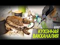 Новости с кухни / Пьяный Бублик. Влог