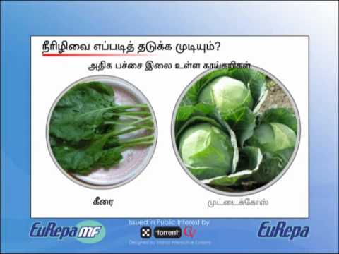 Sugar diet in tamil, foods vitamins minerals list