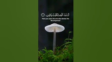 سورة الماعون..... القارئ عبدالله الخلف.... #islam #quran #سورة #القرآن_الكريم