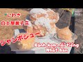 #mónănđườngphốnhậtbản 白土屋菓子店.Famous Japanese ice cream bakery. Tiệm bánh kem nổi tiếng nhật bản.