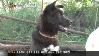 [TV동물농장] 20130717 #5(9)