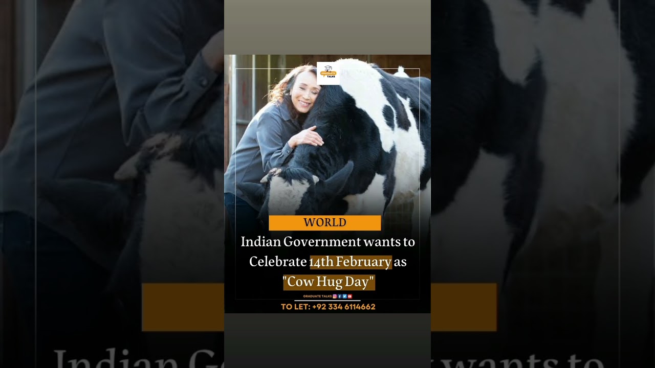 Indian government asks people to celebrate cow hug day on Valentines Day 