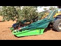 Уникальный #Трактор#!  СБОР Фисташек. #HARVESTING technology