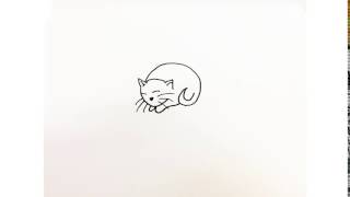Cat Yawn Animation