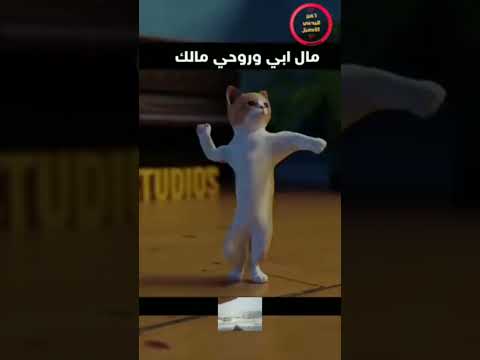 اجمل تصميم اصيل ابوبكر مال ابي وروحي 2023