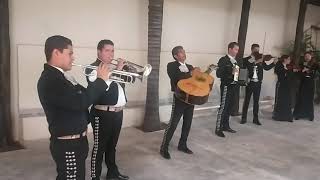 Prieta Linda Mariachi Yoltzin