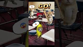Banana Cat And Happy Cat School Day Part 32 Resimi