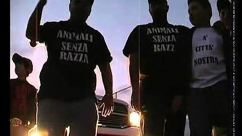 Quando un cane non è di razza?