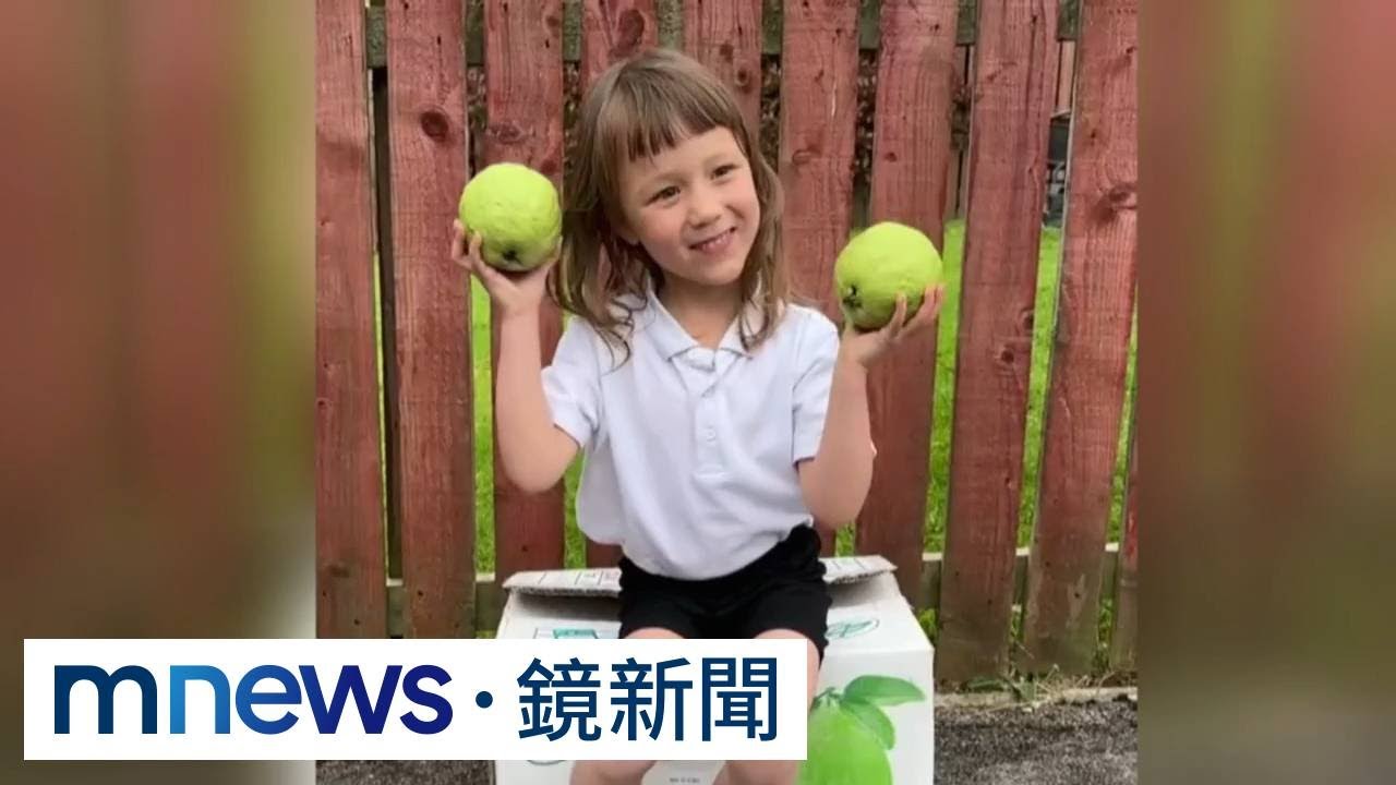 獨家／2天揪到140公斤！　在英台人團購「芭樂」敲開英國市場｜#鏡新聞
